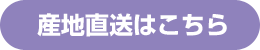 産地直送はこちら