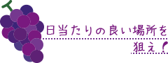 日当たりの良い場所を狙え！