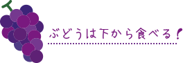 ぶどうは下から食べる！