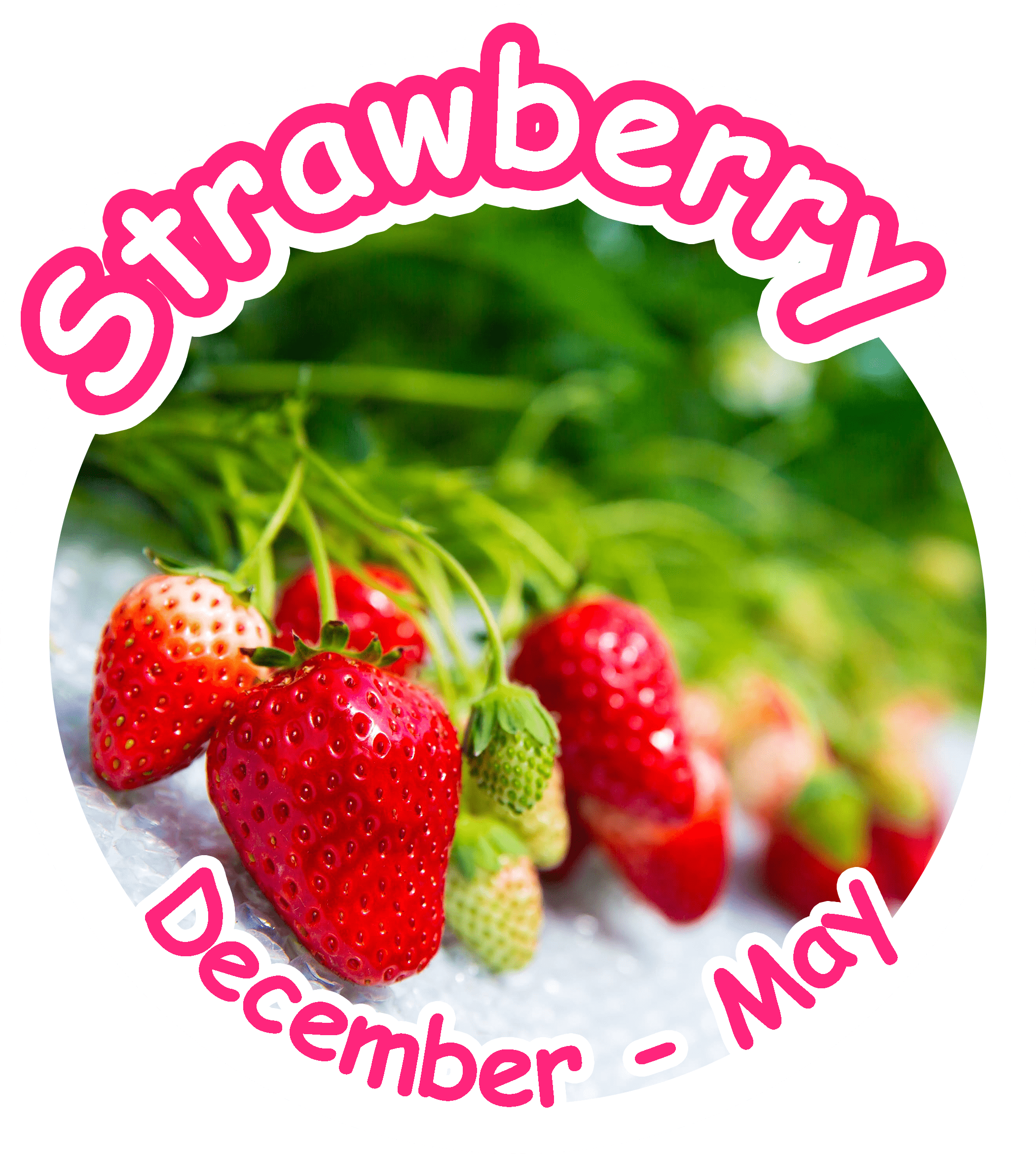 strawberry