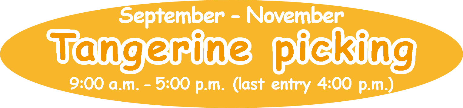 Let's enjoy hunting tangerine together! September to November. Tangerine picking.