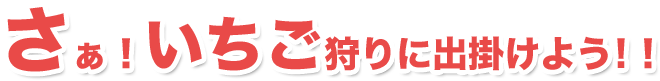 さぁ！いちご狩りに出掛けよう!