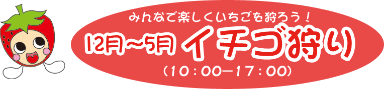 みんなで楽しくいちごを狩ろう！12月～5月 イチゴ狩り