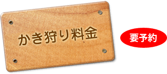 かき狩り料金