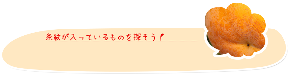 かき狩りのチョイ技フレーム