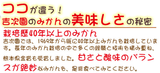 栽培歴40年以上のみかん<br>吉次園では、1969年から既に40年以上みかんを栽培しています。長年のみかん栽培の中で多くの経験と技術を積み重ね、熊本県金賞も受賞しました。甘さと酸味のバランスが絶妙なみかんを、是非食べてみてください。