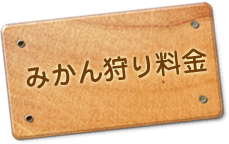 みかん狩り料金