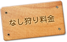 なし狩り料金