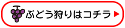 ぶどう狩りはこちら