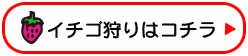 イチゴ狩りはこちら