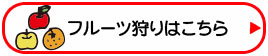 りんご・なし・みかん・かき狩りはこちら